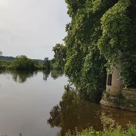 Du Chateau Les Ormes (Vienne)